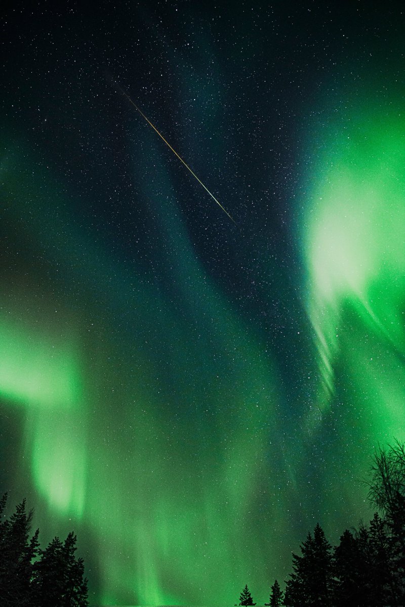 Night Sky Today tweet media