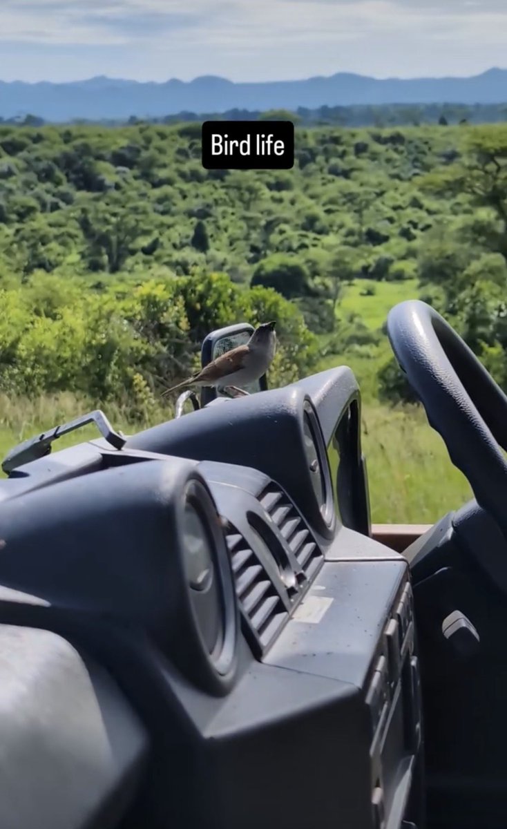 Kyle kizito tweet media