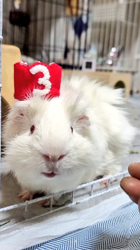 はまちゅ tweet media