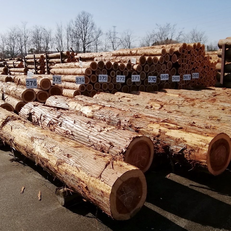 ビリケン🦁The KING LION tweet media