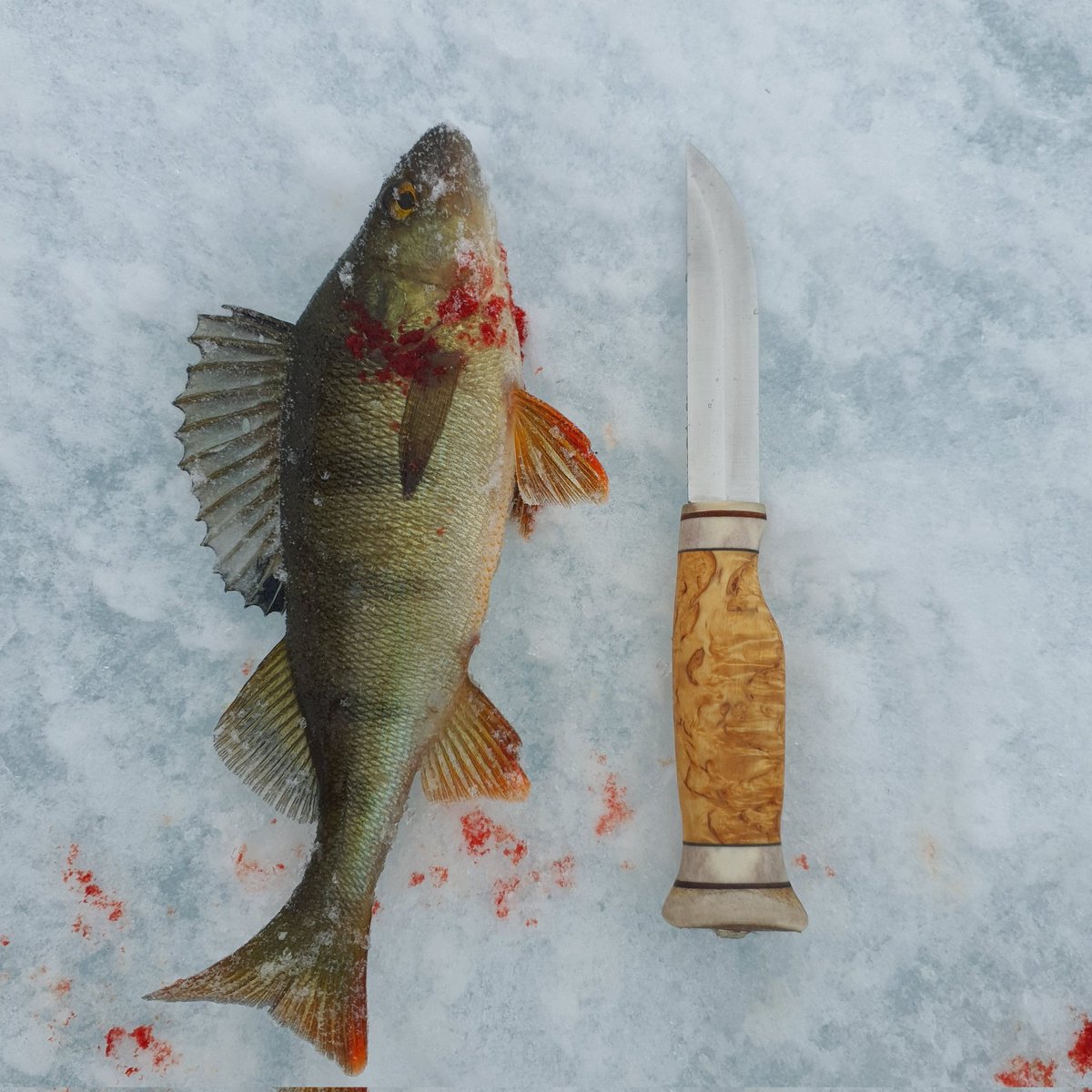 Elio Bellposts and Bellmaxxes tweet media