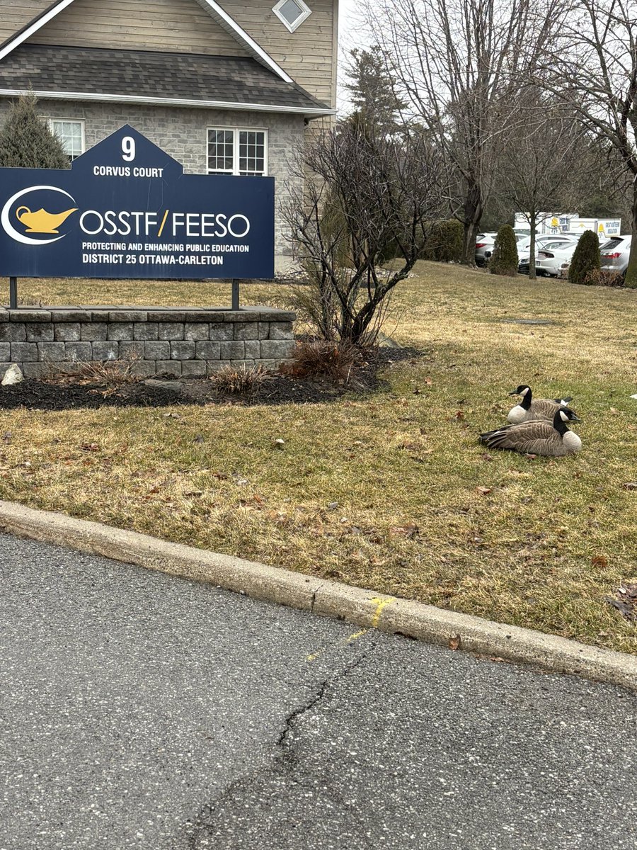 Evan Cooper- MSO D25 OSSTF TBU 2019-2027 tweet media