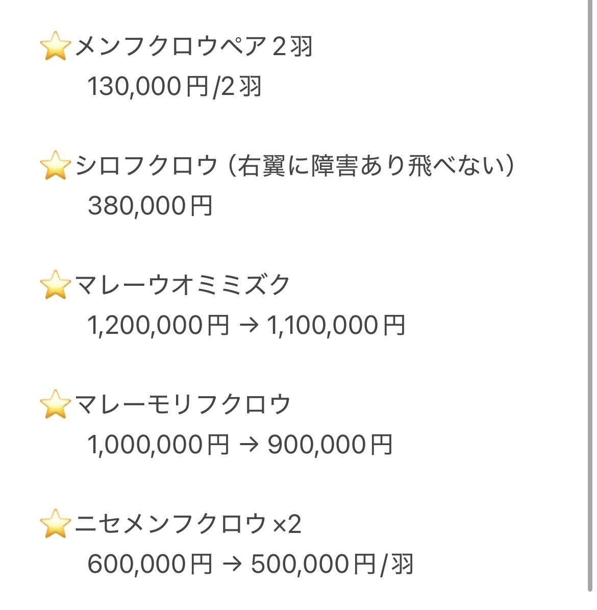 フクロウギャラリー TOKYO tweet media