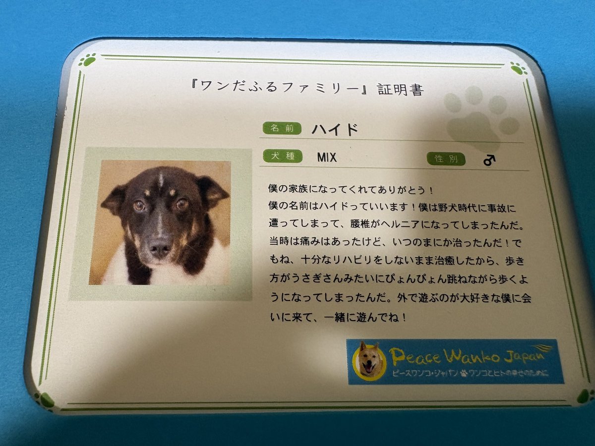 とも君ののんびりリハビリ生活 tweet media