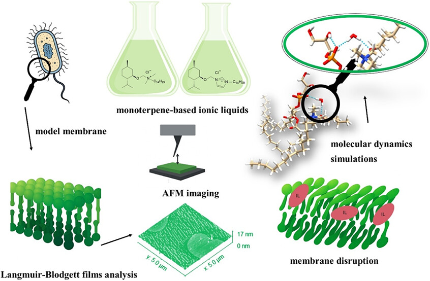 Department of Bioorganic Chemistry - WUST tweet media