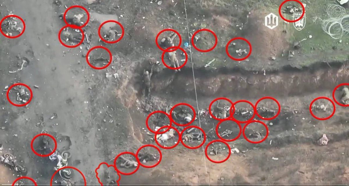 Володимир І 🇺🇦 🇪🇺🇬🇧🇨🇦🇺🇸🇦🇺🇮🇱🇯🇵 tweet media