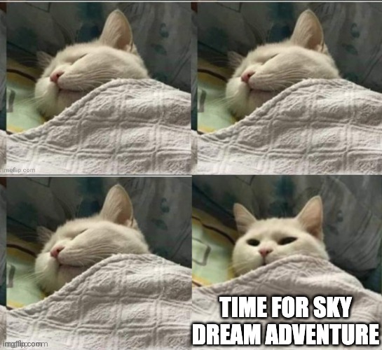 skymonNFT's tweet photo. Saturday is the time to recharge for the adventures ahead. ๐๐ด
Or maybe, spending some time with your #Skymon is the best way to recharge! ๐คฉ
Let a #SkyDream adventures refresh your spirit! ๐ฟโจ
#NFT #CNFT #Cardano #CNFTCommunity #NFTGame https://t.co/98zk29Ovvx
