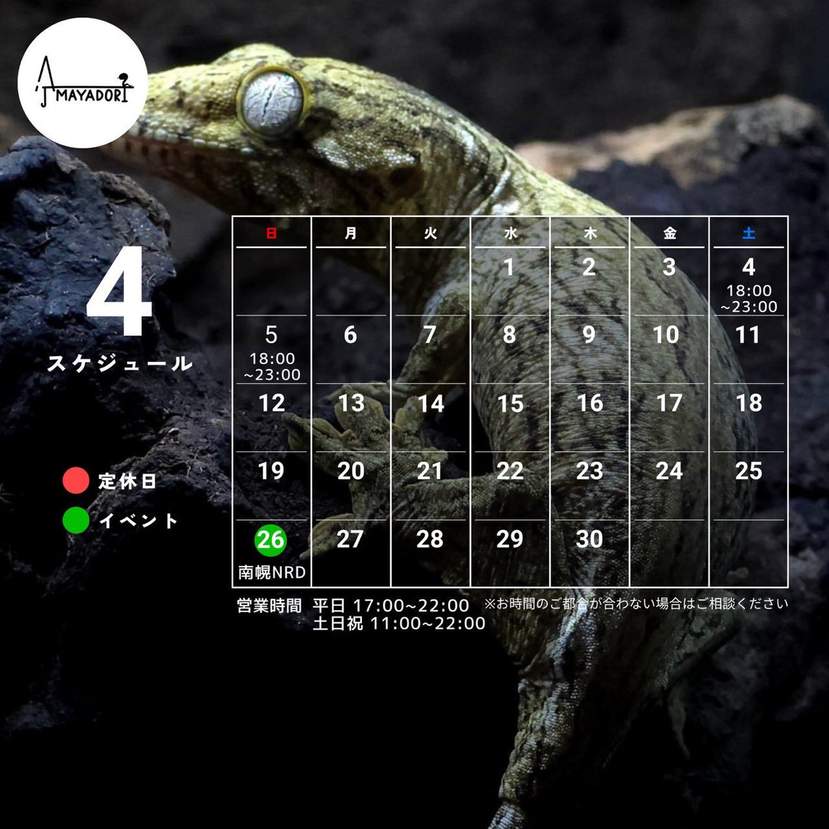 あまやどり tweet media