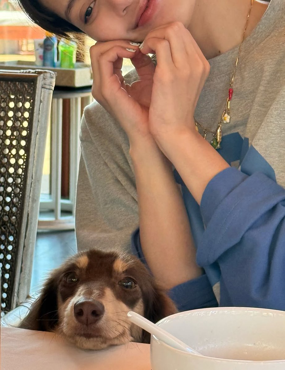 LISA BRASIL tweet media