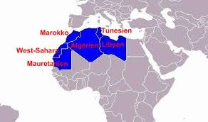 Fahrenheit 451 🪣🥐🪠 tweet media