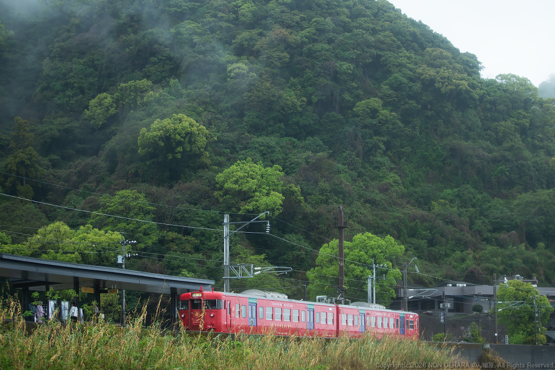 のん植原 tweet media