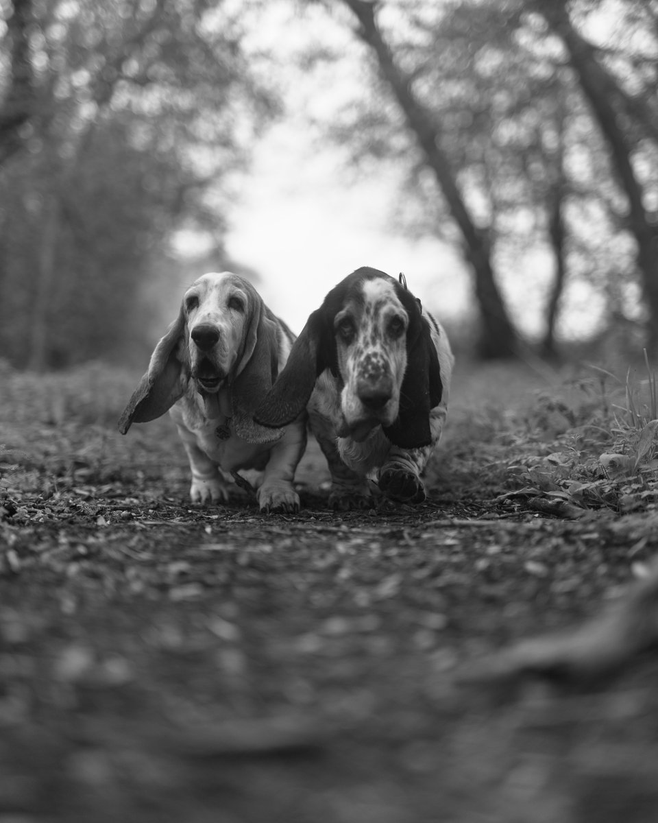 Phil Sledge tweet media