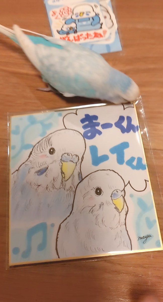 まーくんママ tweet media