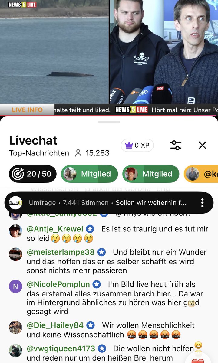 Chiara_Fa tweet media