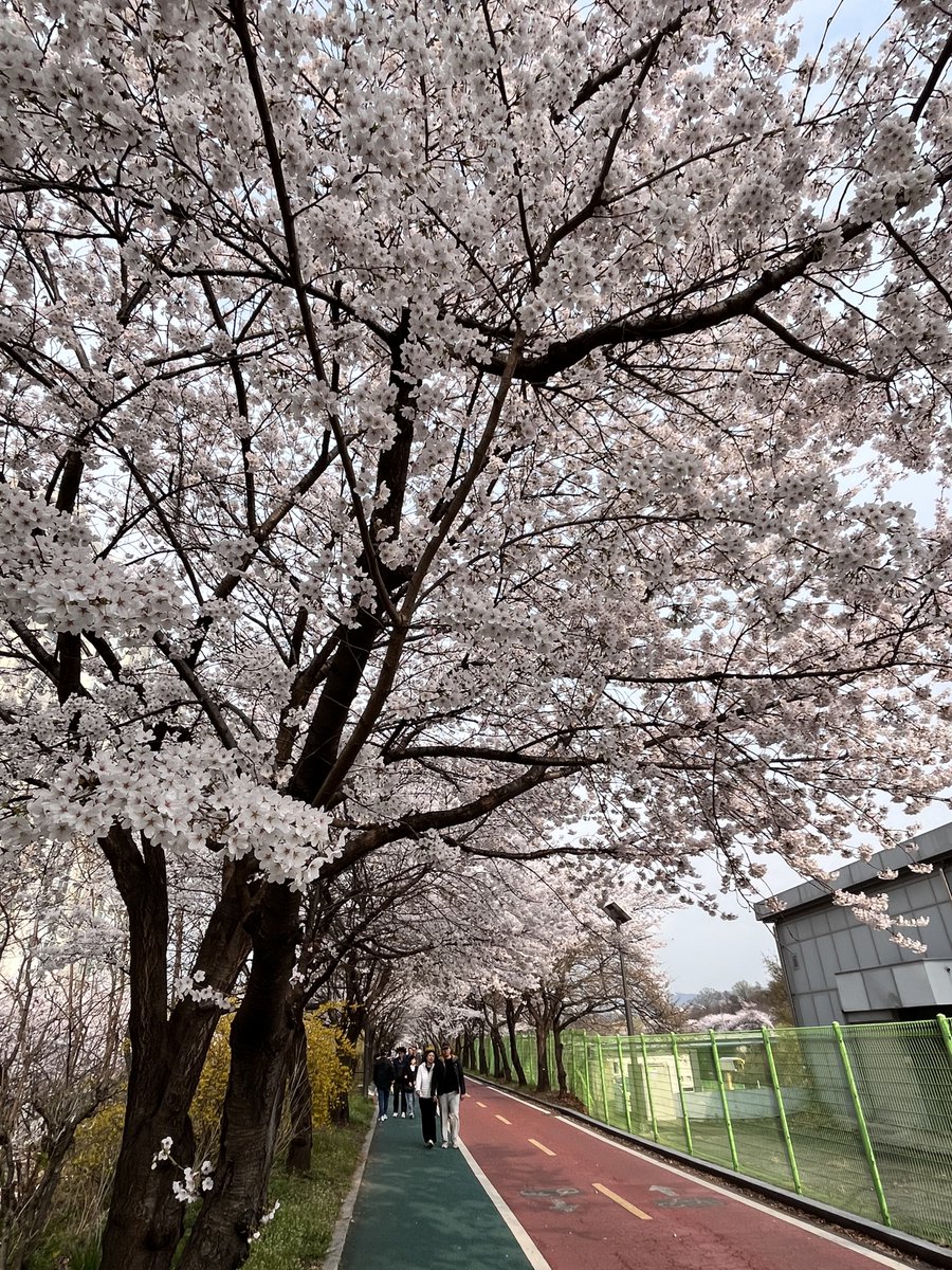 김유정🏳️‍🌈 tweet media