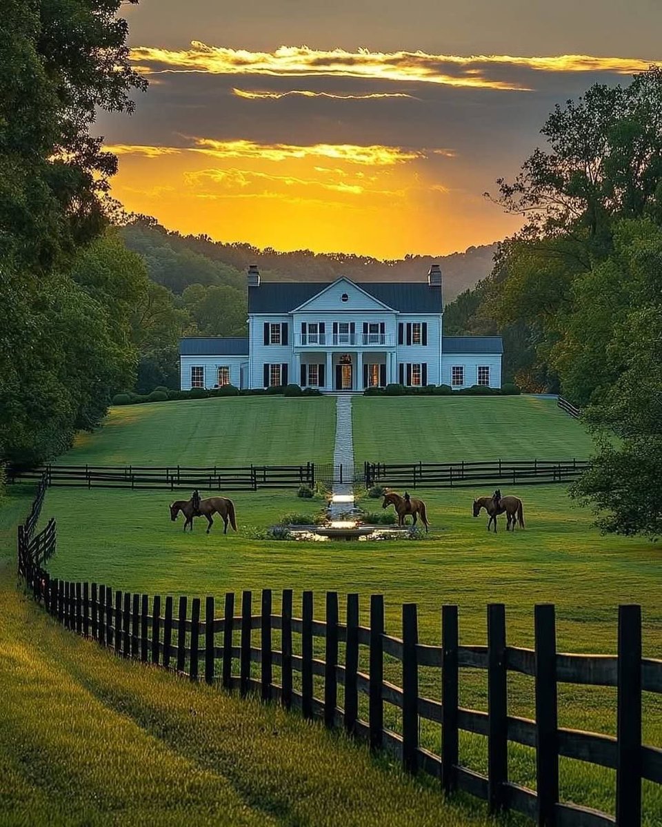 بحر 🌊 tweet media