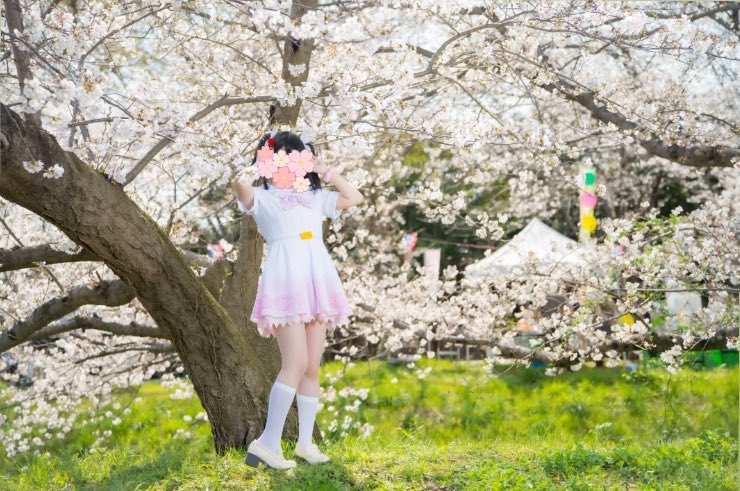 みそ🎀 tweet media