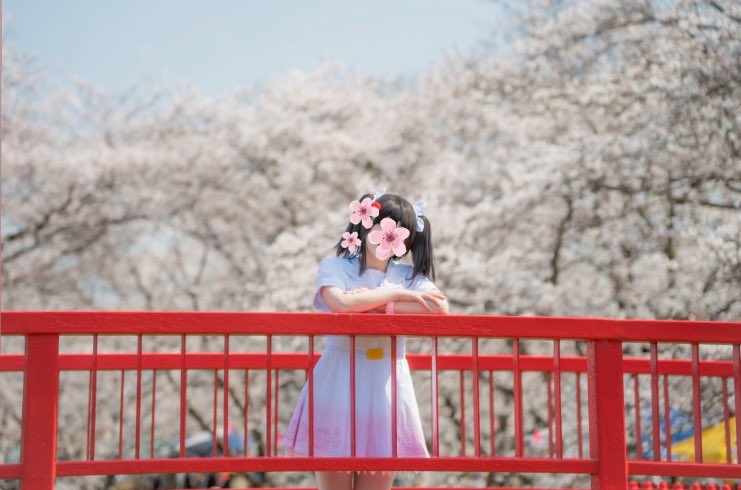 みそ🎀 tweet media