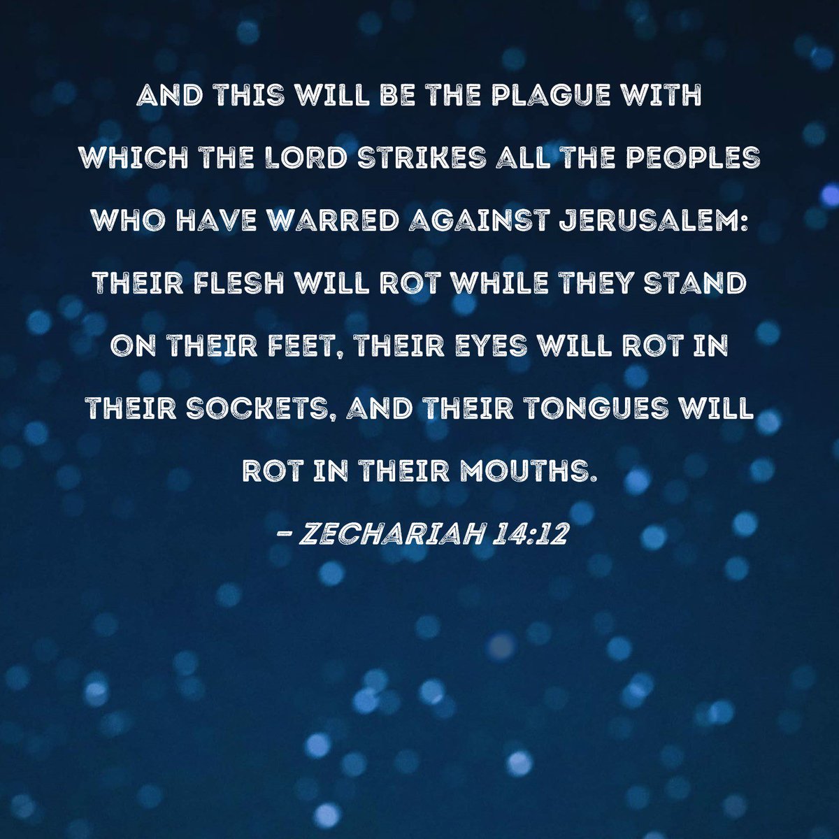 Scarlett..Rose tweet media