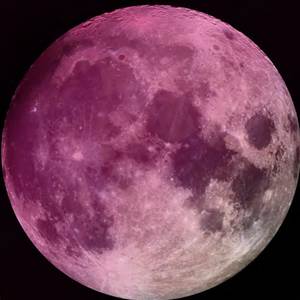 Tony Pann tweet media