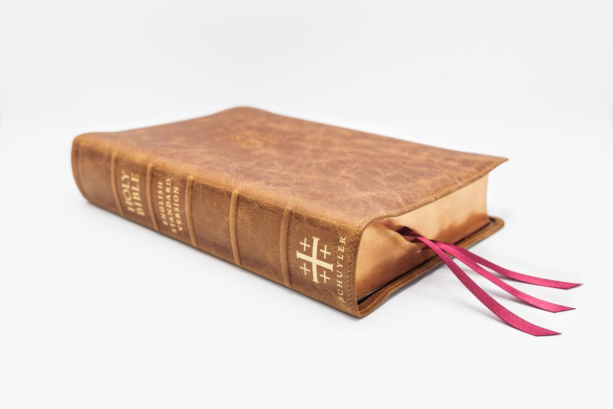 evangelicalbible.com tweet media