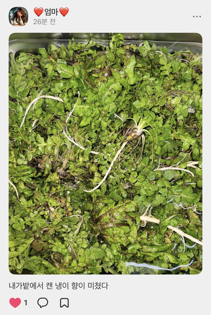 𝒚𝒆𝒐𝒏 tweet media