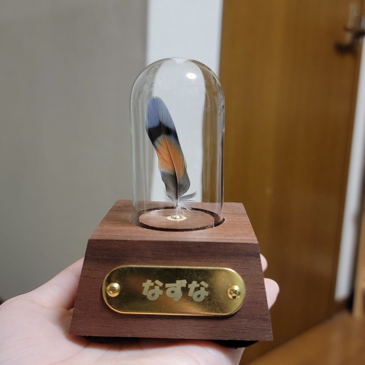 ぶんぶかかぽ tweet media