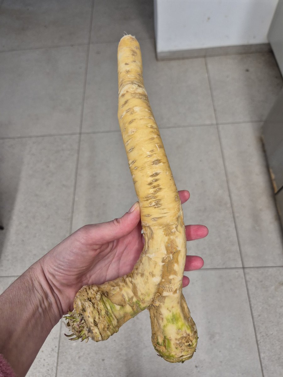 מיכץ' tweet media