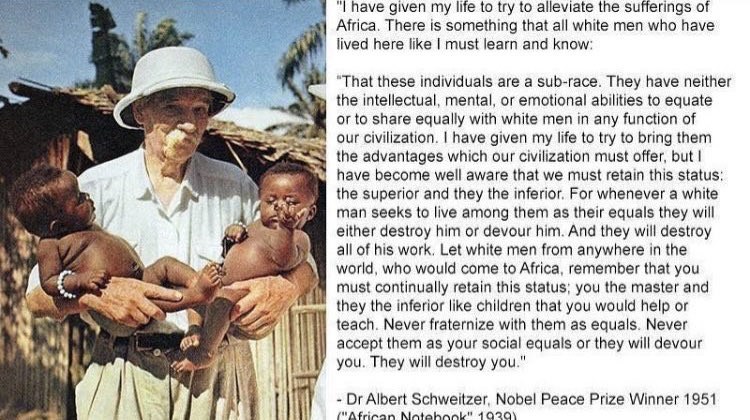 Paulie Penguins tweet media