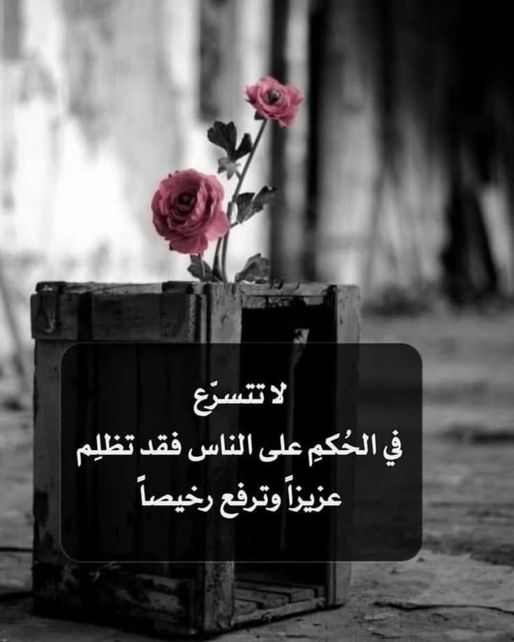 🌷رهف 🌹🌹 tweet media