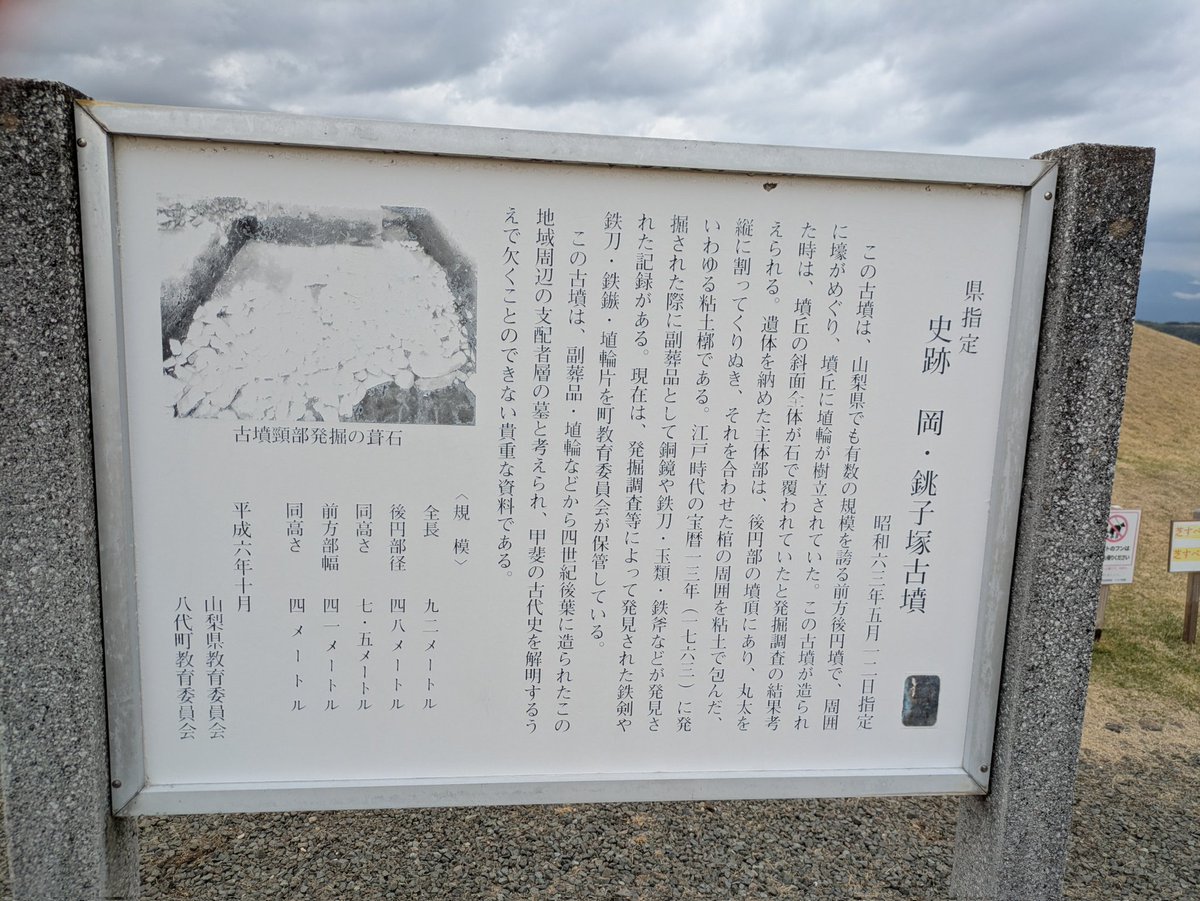 うさぎ tweet media