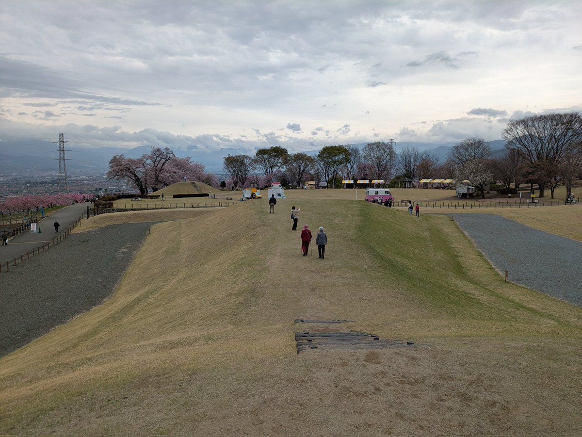 うさぎ tweet media