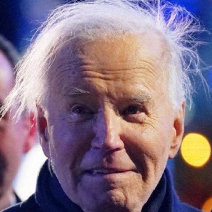 Ultra MAGA Joyce Day tweet media