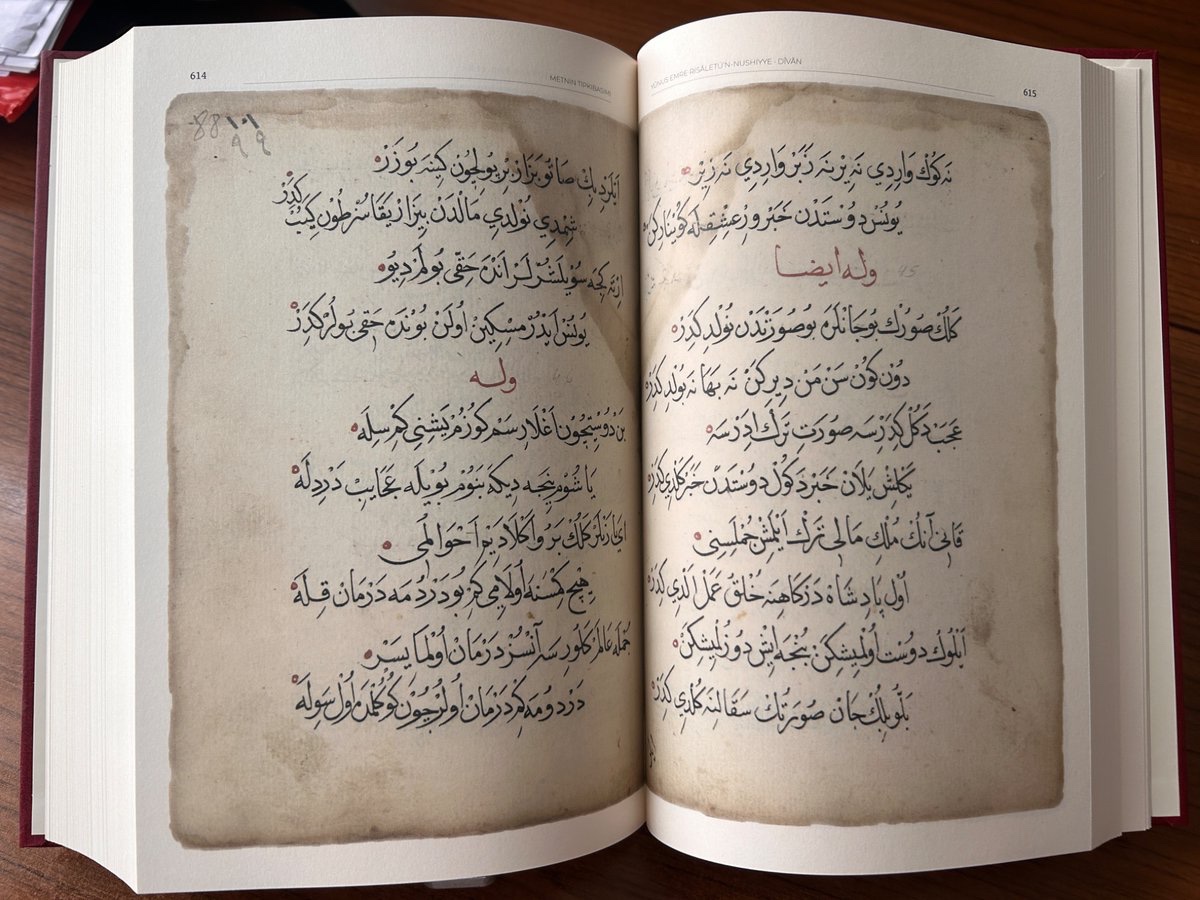 Güler Doğan Averbek tweet media