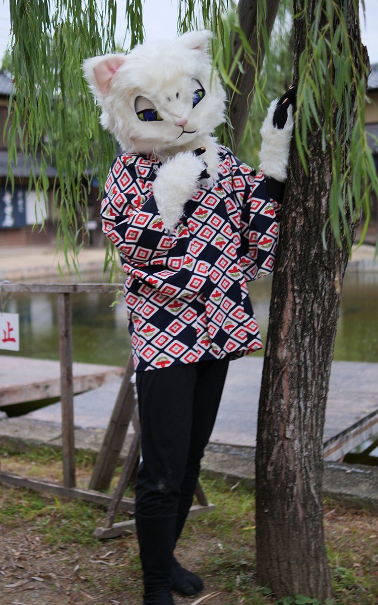 しんぽう なおこ 面作家 tweet media