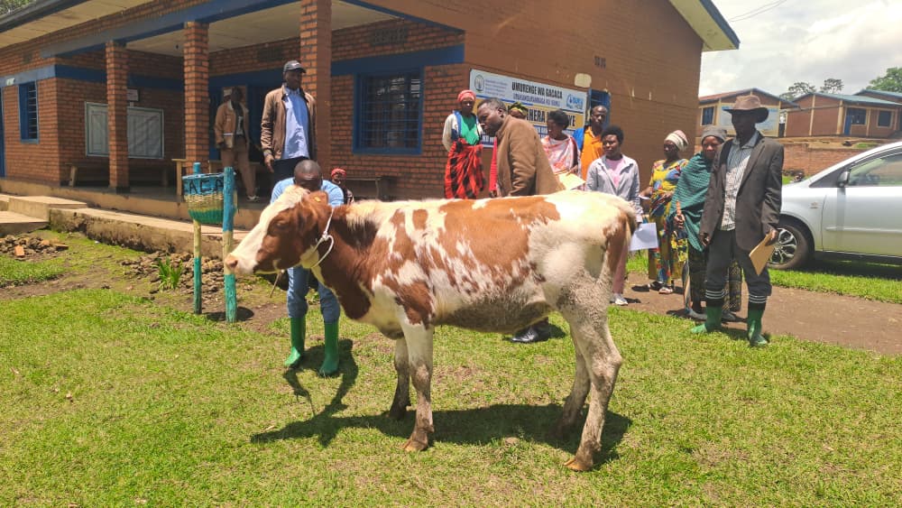 GACACA SECTOR tweet media