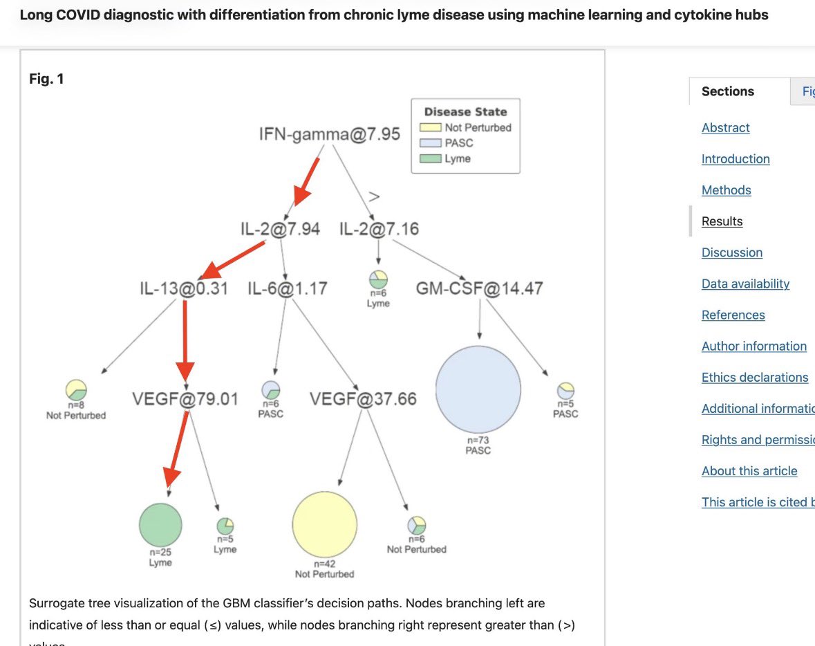 Bootybuilder™️ tweet media