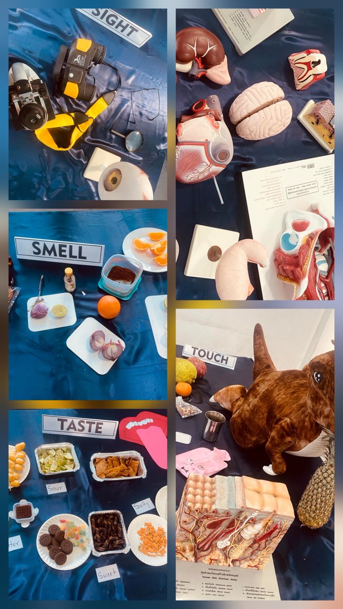 Jamaluddin School tweet media