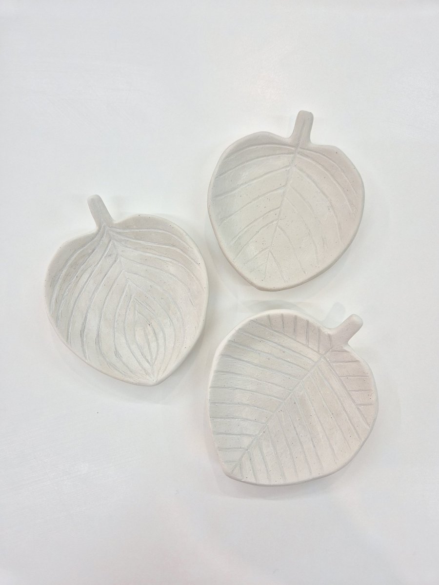 𝑤𝑎𝑛, 세라믹 스튜디오 완 tweet media