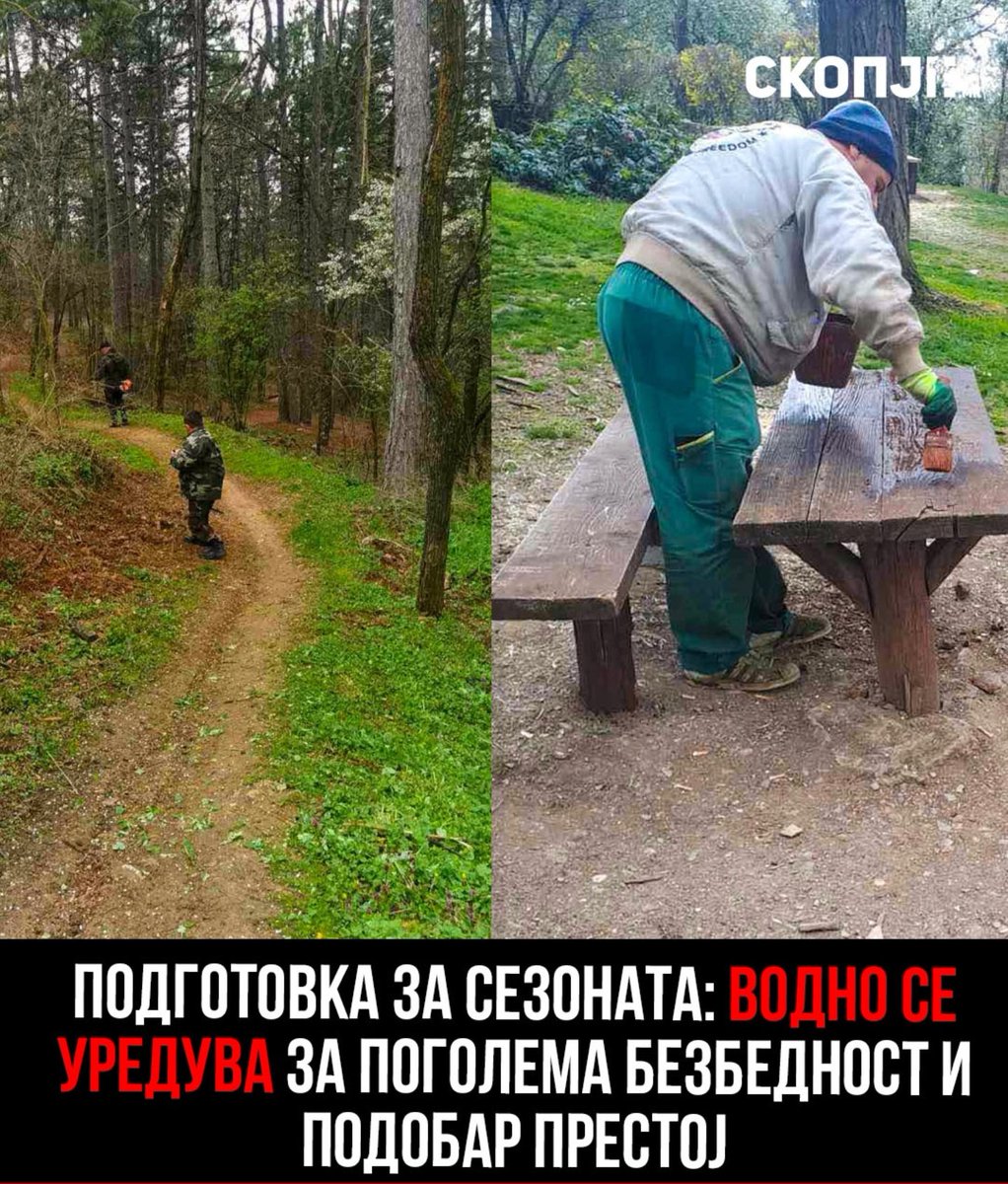 СплинтеР tweet media