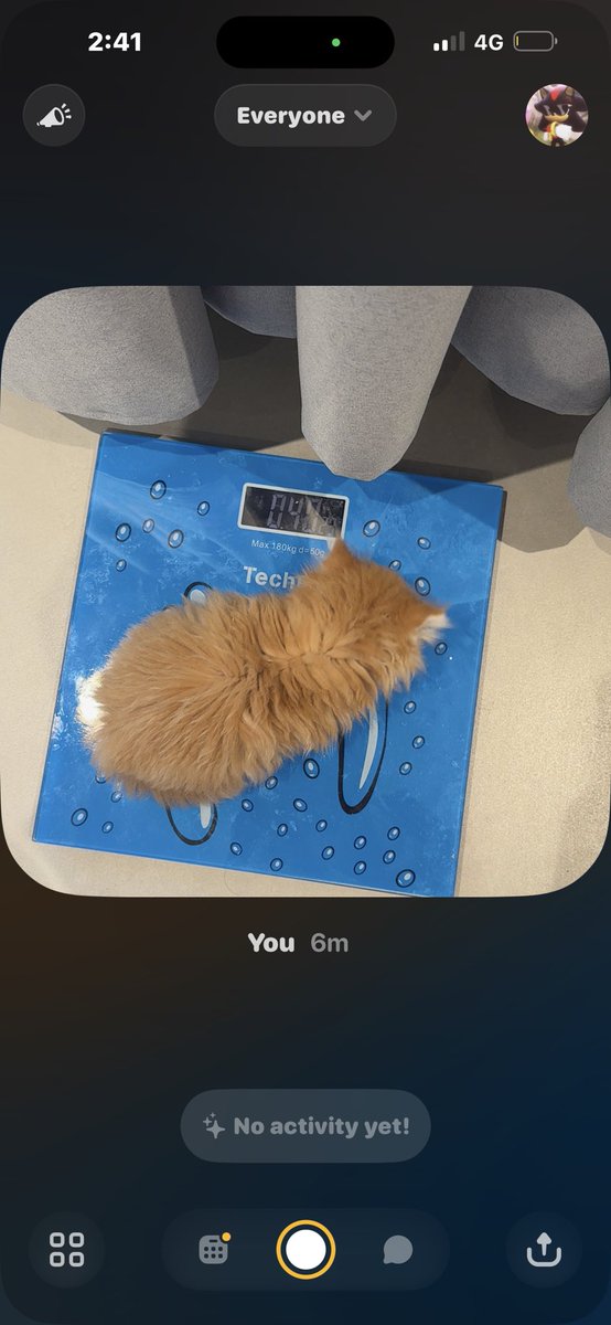 shadow911_ tweet media