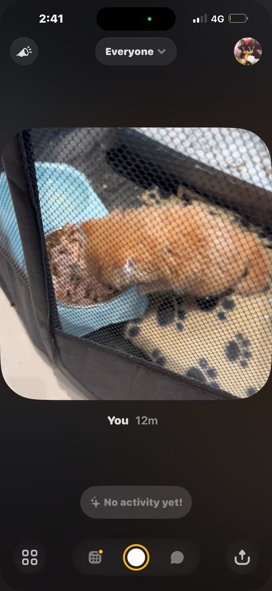 shadow911_ tweet media