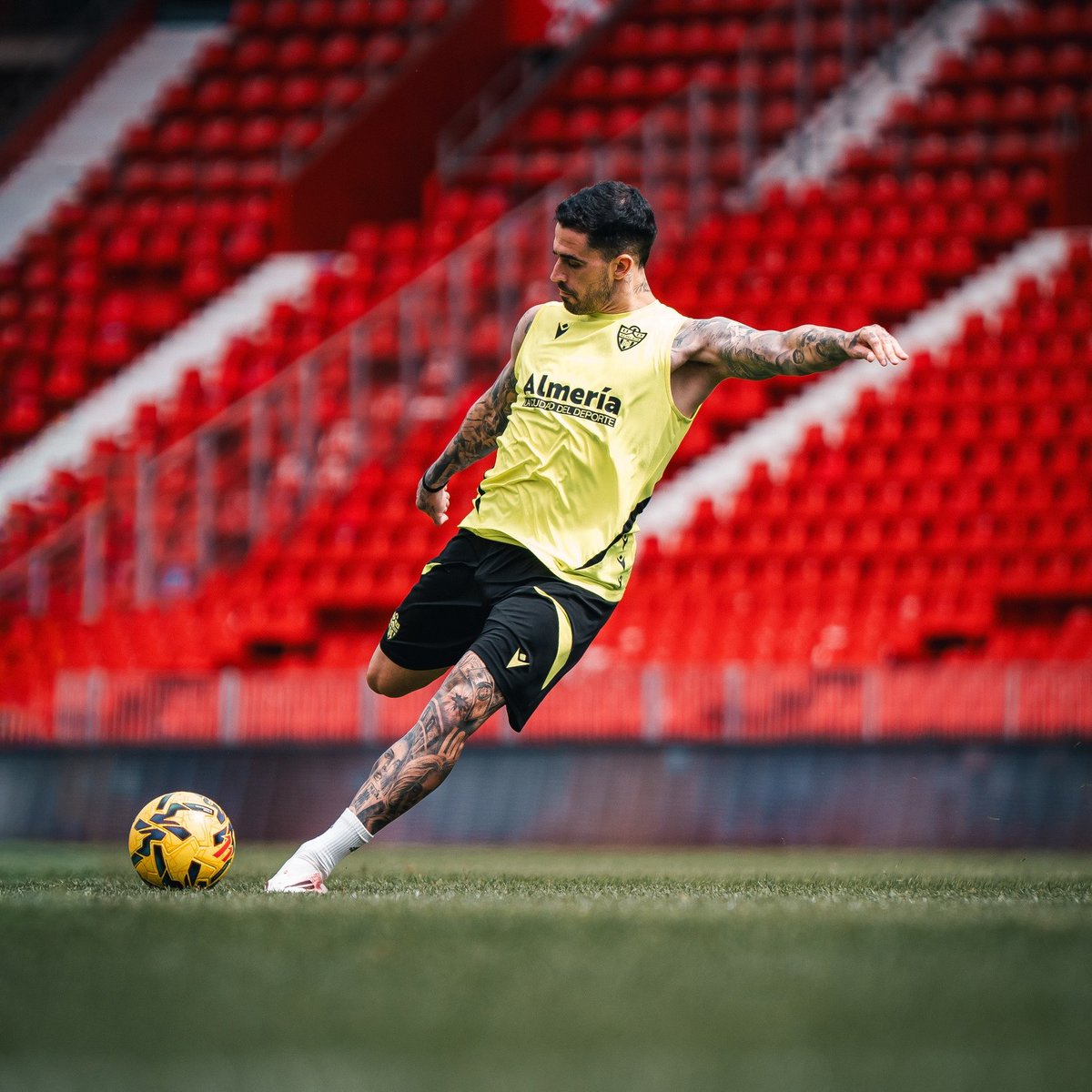 Miguel de la Fuente tweet media