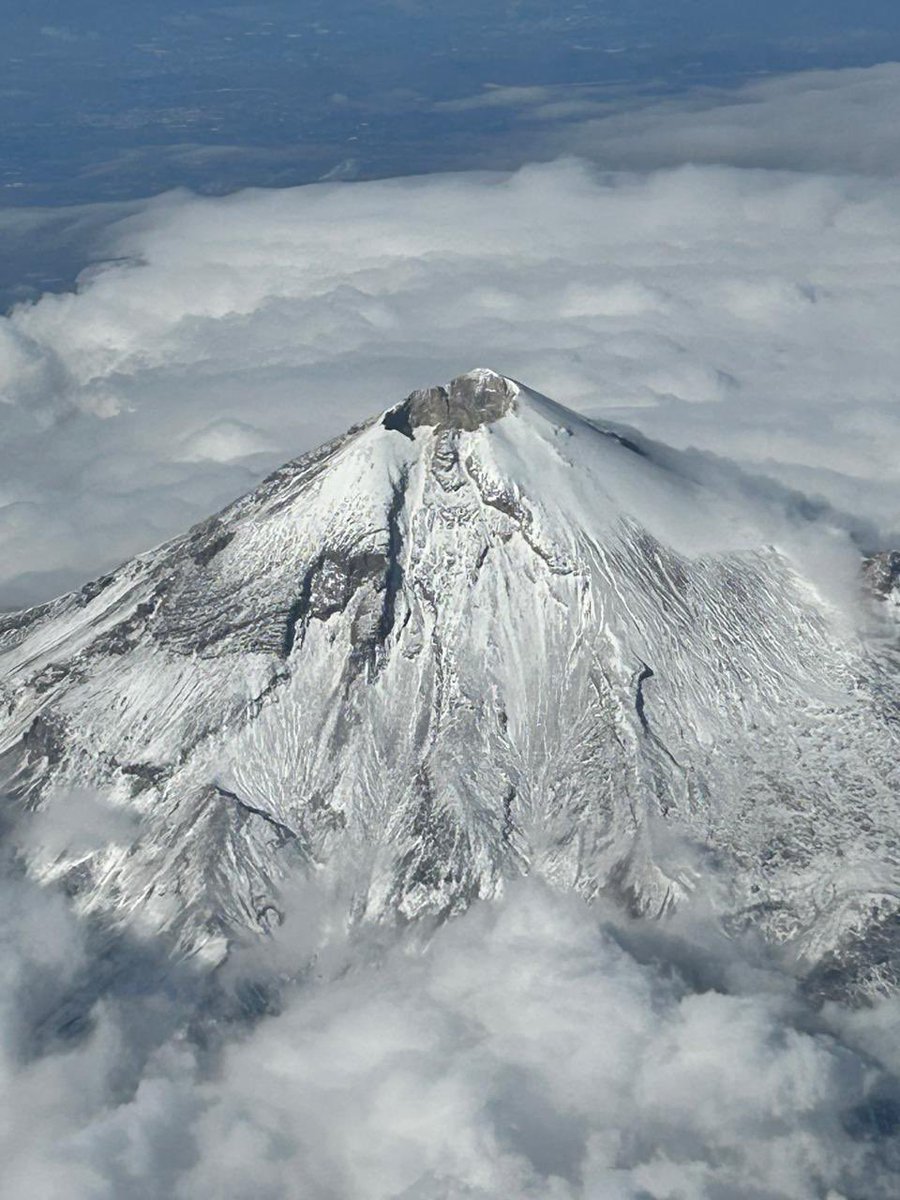 Rodrigo Morales Castillo tweet media