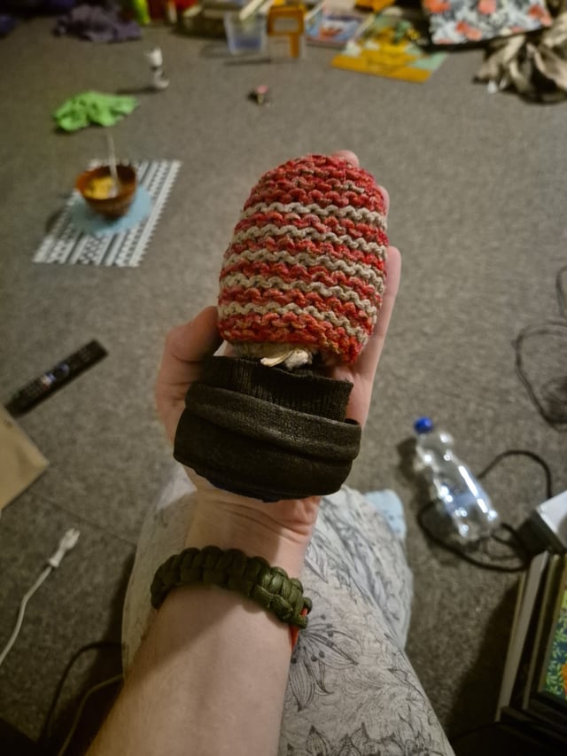 sharon/simon ⋆ ࣪ ˖ ☆ tweet media