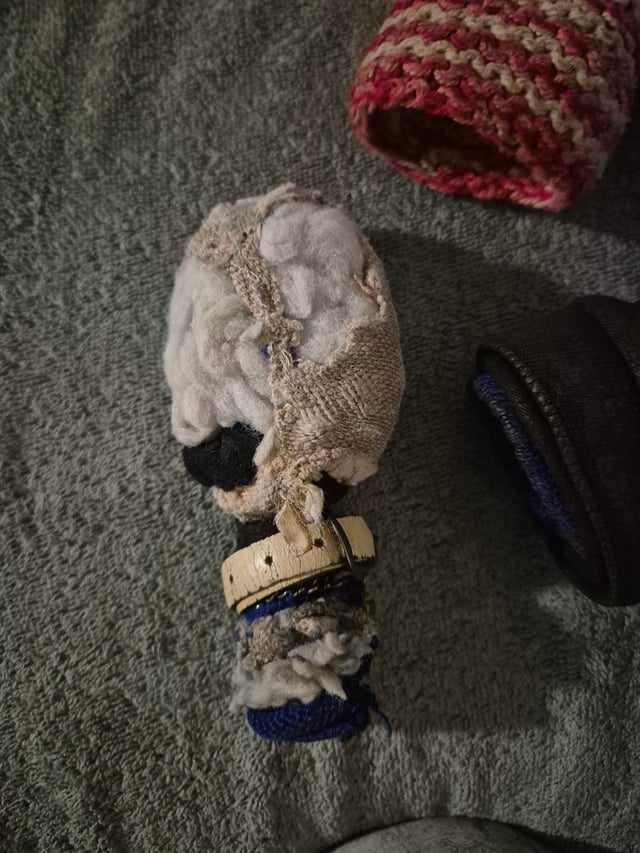 sharon/simon ⋆ ࣪ ˖ ☆ tweet media