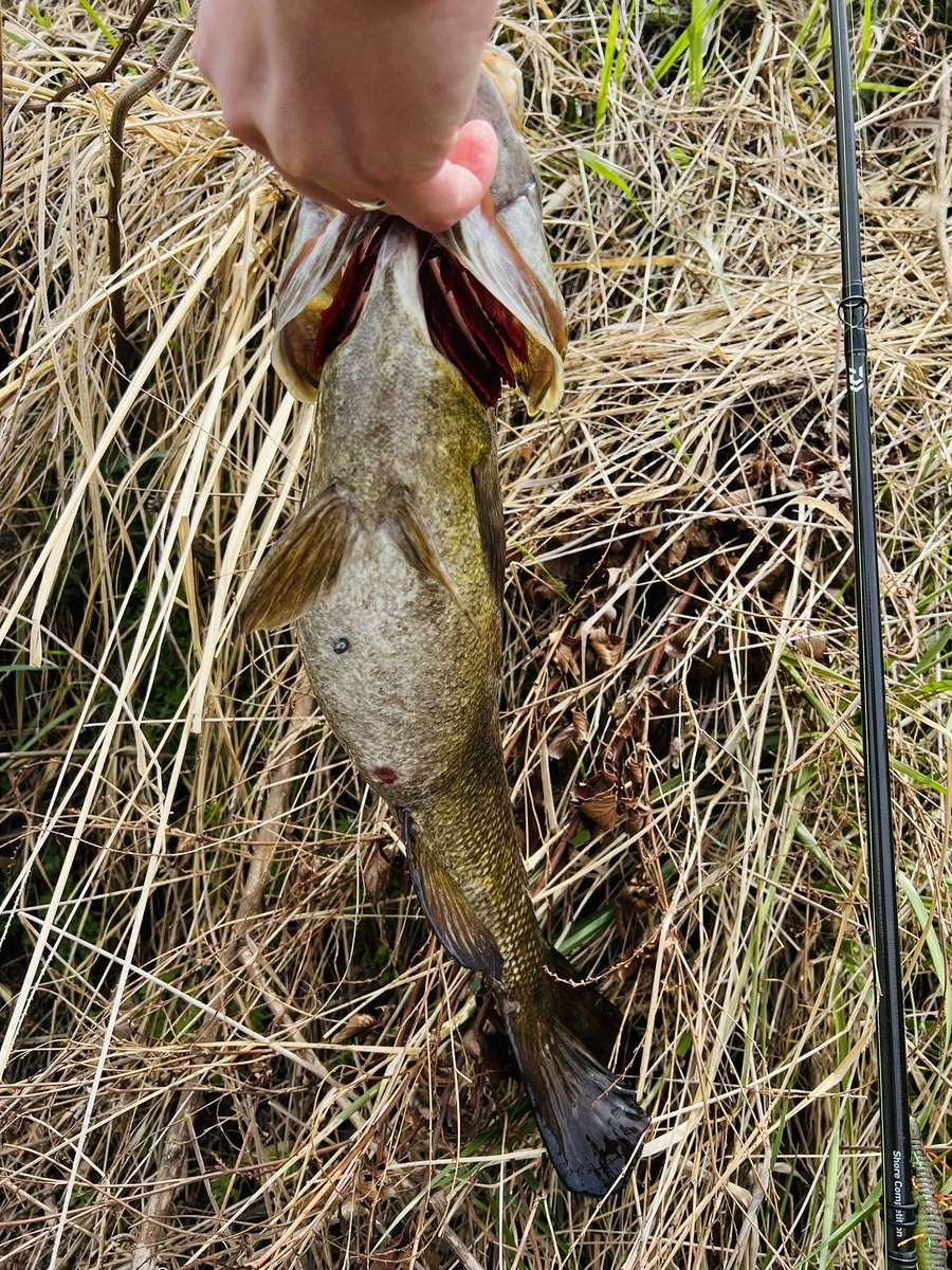 リョウ@R.sato tweet media