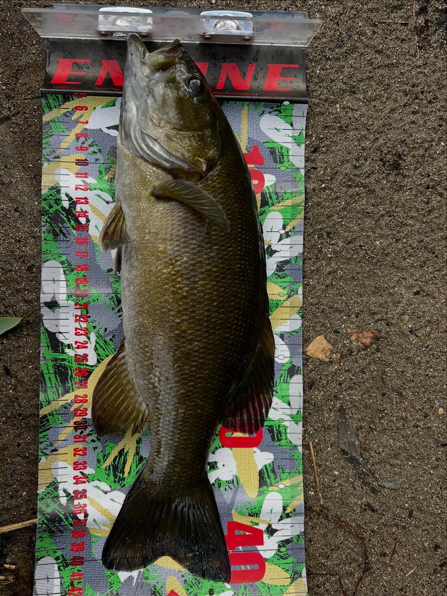 リョウ@R.sato tweet media