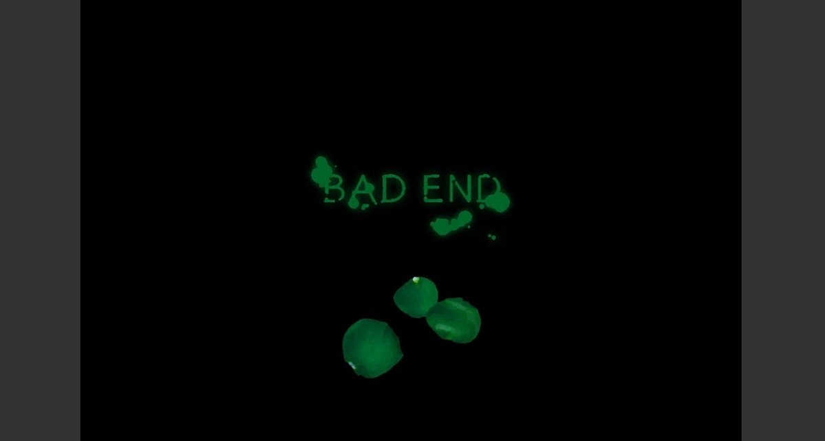 銀蘭(ぎんらん) tweet media