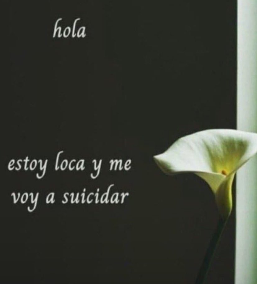 kori Ი𐑼 tweet media